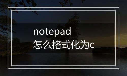 notepad怎么格式化为c