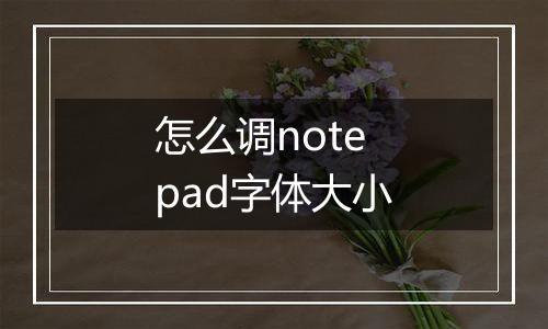 怎么调notepad字体大小