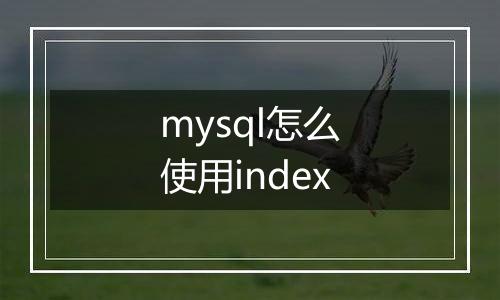 mysql怎么使用index