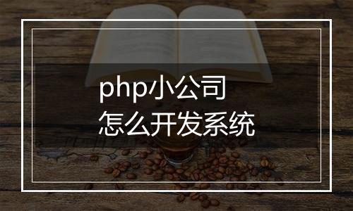 php小公司怎么开发系统
