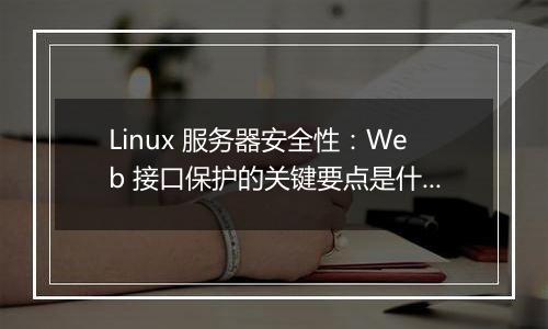 Linux 服务器安全性：Web 接口保护的关键要点是什么？