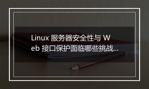 Linux 服务器安全性与 Web 接口保护面临哪些挑战？