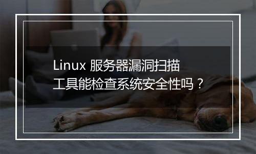 Linux 服务器漏洞扫描工具能检查系统安全性吗？
