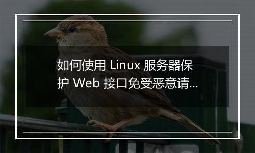 如何使用 Linux 服务器保护 Web 接口免受恶意请求？