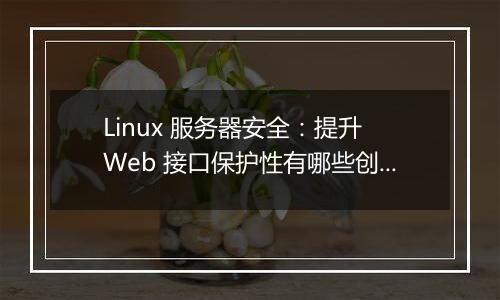 Linux 服务器安全:提升 Web 接口保护性有哪些创新方法?