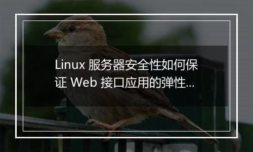 Linux 服务器安全性如何保证 Web 接口应用的弹性？