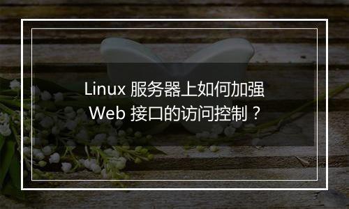 Linux 服务器上如何加强 Web 接口的访问控制?
