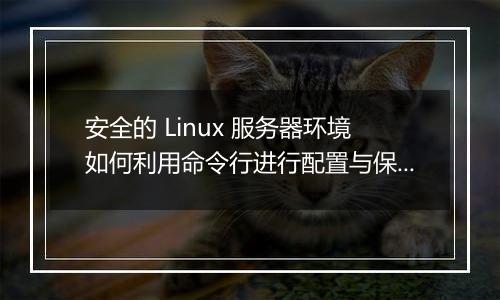 安全的 Linux 服务器环境如何利用命令行进行配置与保护？
