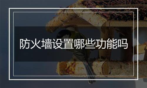 防火墙设置哪些功能吗