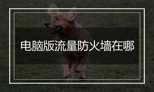 电脑版流量防火墙在哪
