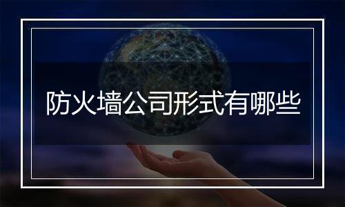 防火墙公司形式有哪些