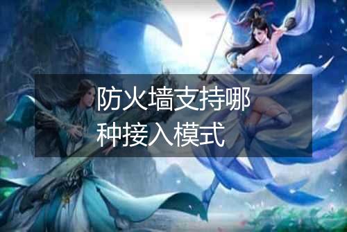防火墙支持哪种接入模式