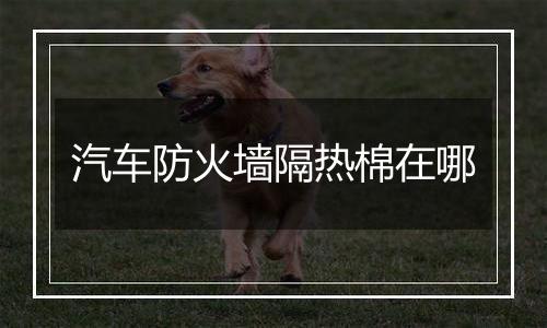 汽车防火墙隔热棉在哪