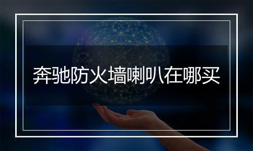 奔驰防火墙喇叭在哪买