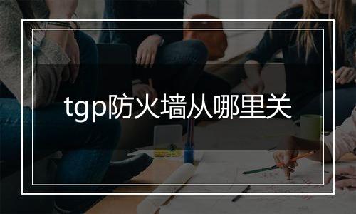 tgp防火墙从哪里关