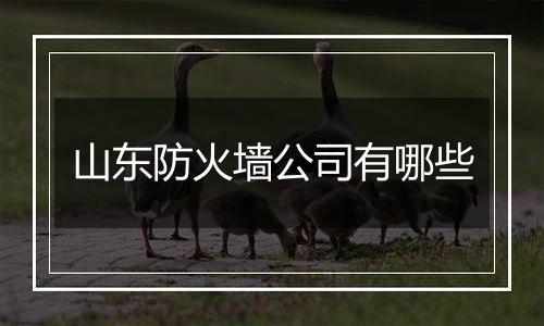 山东防火墙公司有哪些