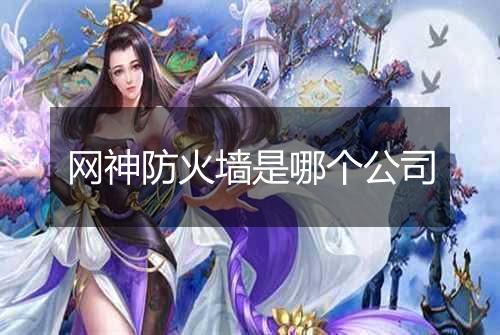 网神防火墙是哪个公司