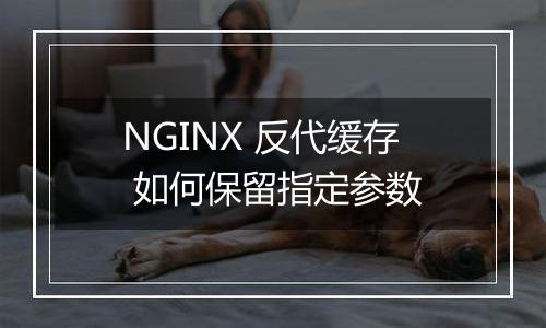 NGINX 反代缓存 如何保留指定参数
