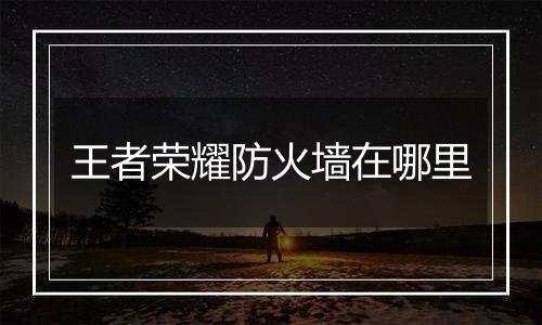 王者荣耀防火墙在哪里