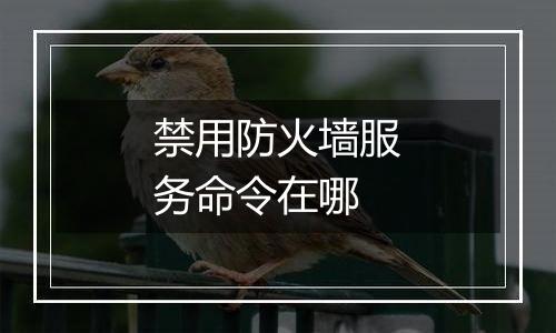 禁用防火墙服务命令在哪