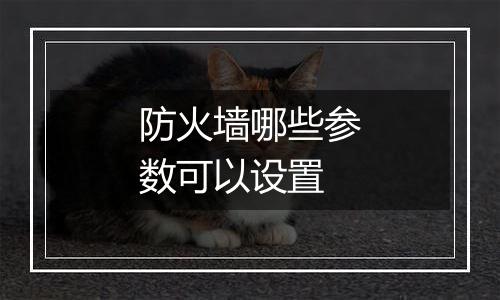 防火墙哪些参数可以设置
