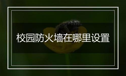 校园防火墙在哪里设置