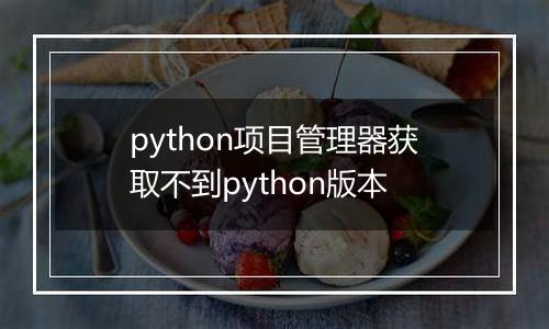 python项目管理器获取不到python版本