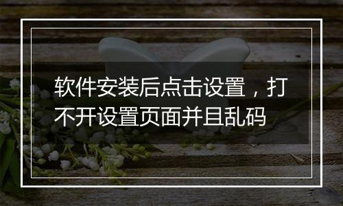软件安装后点击设置，打不开设置页面并且乱码