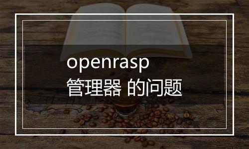 openrasp管理器 的问题