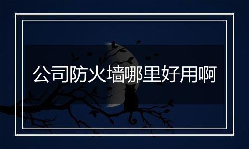 公司防火墙哪里好用啊