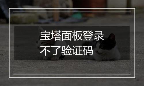 宝塔面板登录不了验证码