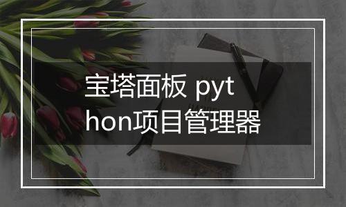 宝塔面板 python项目管理器