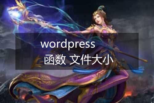 wordpress 函数 文件大小