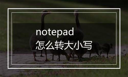 notepad怎么转大小写