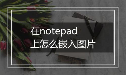 在notepad上怎么嵌入图片