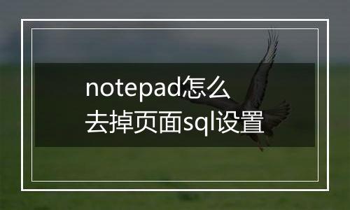 notepad怎么去掉页面sql设置