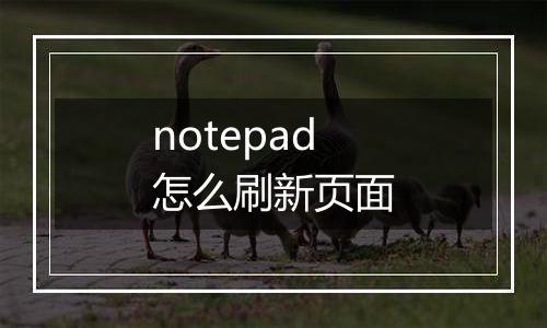 notepad怎么刷新页面