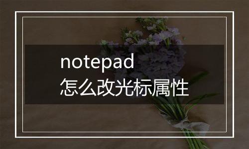 notepad怎么改光标属性
