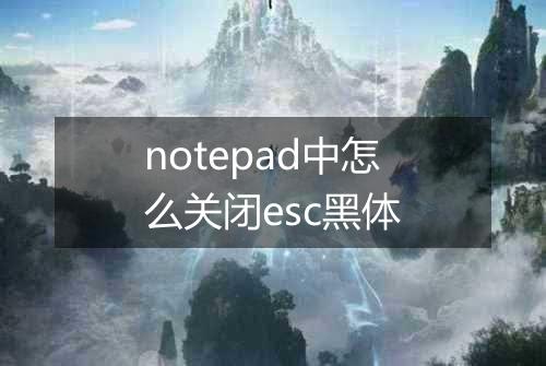 notepad中怎么关闭esc黑体