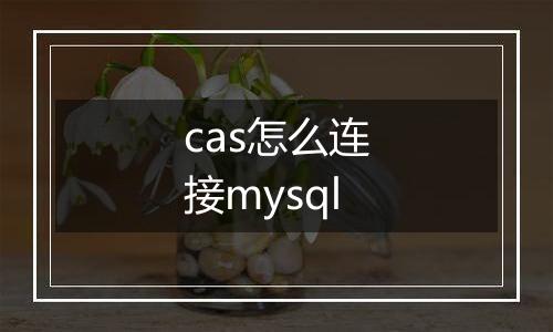 cas怎么连接mysql