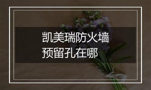 凯美瑞防火墙预留孔在哪