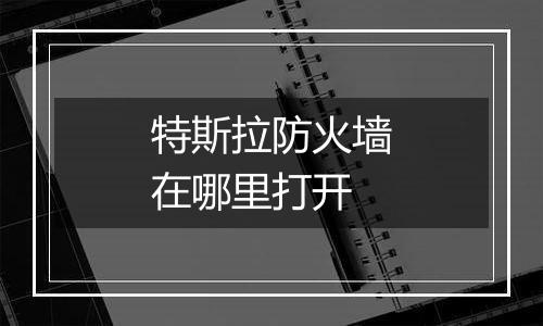 特斯拉防火墙在哪里打开