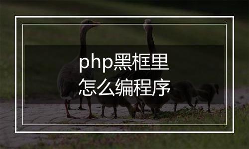 php黑框里怎么编程序