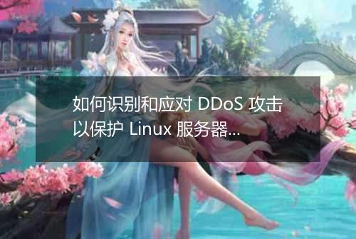 如何识别和应对 DDoS 攻击以保护 Linux 服务器?
