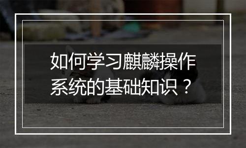 如何学习麒麟操作系统的基础知识?