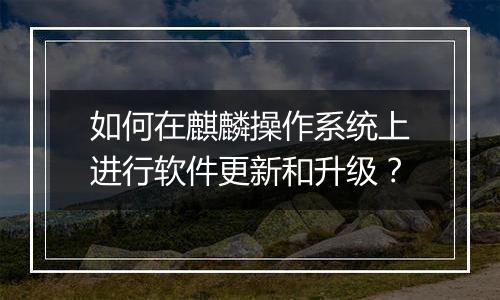 如何在麒麟操作系统上进行软件更新和升级?