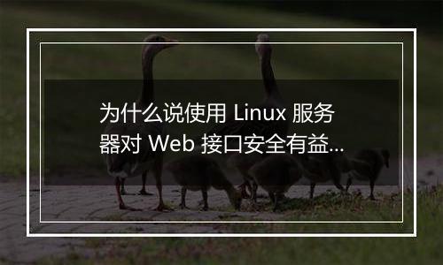 为什么说使用 Linux 服务器对 Web 接口安全有益?