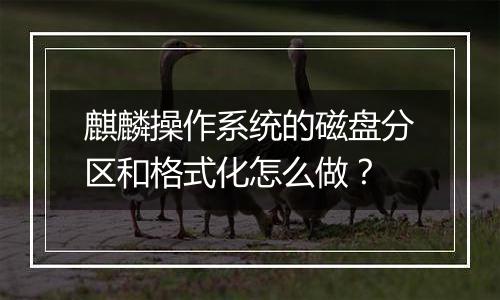 麒麟操作系统的磁盘分区和格式化怎么做?