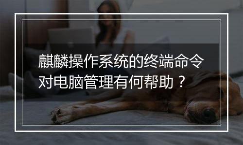 麒麟操作系统的终端命令对电脑管理有何帮助?