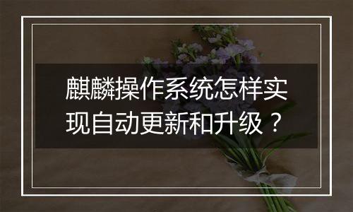 麒麟操作系统怎样实现自动更新和升级?